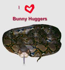 BUNNY HUGGER.png