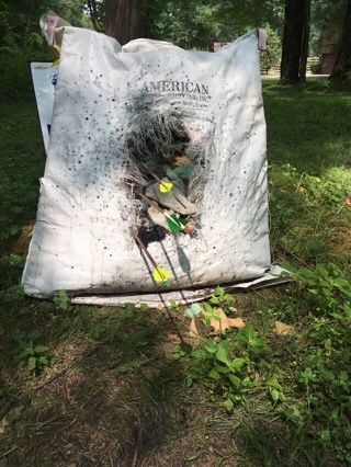 50 yards