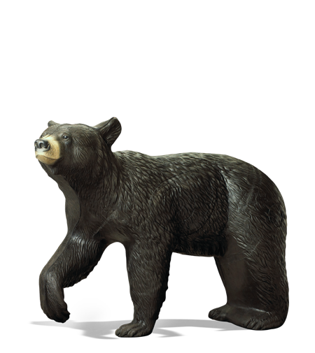 black-bear.png